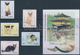 ** 1997 Bélyegkiállítás HONG KONG '97: Macskák Sor Mi 3988-3992 + Blokk Mi 147 - Other & Unclassified