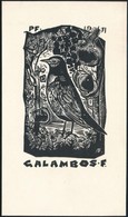 Bordás Ferenc (1911-1982) : Fekete Rigó Ex Libris Galambos, Fametszet, Papír, Jelzett A Dúcon, 9×5 Cm - Other & Unclassified