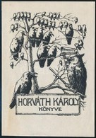 Nagy Sándor (1869-1950): Horváth Károly Könyve, Ex Libris, Klisé, Papír, Jelzett A Klisén, 13×9 Cm - Other & Unclassified