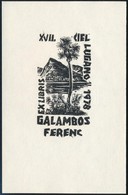 Jelzés Nélkül: 1978 Lugano Ex Libris. Linó, Papír, 11x7 Cm - Autres & Non Classés