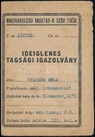 1919 Magyarországi Vasutasok Szövetsége Ideiglenes Igazolvány Tagsági Bélyegekkel - Unclassified