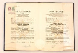 1977 Pszichológusi Diploma Műbőr Kötésben - Unclassified