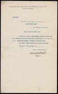 1911 Ambrozovics Dezső (1864-1919) újságíró, Az Országos Magyar Képzőművészeti Társulat Titkárának Gépelt Levele Kosztol - Non Classés