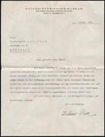 Julius Von Pia (1887-1943 ) Osztrák Geológus, Paleontológus,   Saját Kézzel írt Levelezőlapja  Szörényi Erzsébet (1904-1 - Non Classés