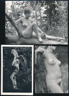 Cca 1969 Lányok, Asszonyok Az Optikai Tengelyre Tűzve, 5 Db Szolidan Erotikus Vintage Fotó, 14x9 Cm és 12x17 Cm Között / - Autres & Non Classés