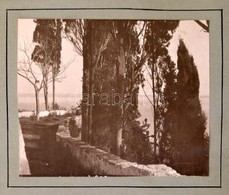 Cca 1910-1920 Navratilné Hegedűs Rózsika Saját Készítésű Fotóalbuma, Benne Közel 100 Művészi Igényű Fényképpel. Több Fot - Autres & Non Classés