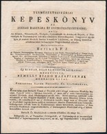 Cca 1805 Bertuch F. J.: Természethistóriai Képeskönyv C. Könyv Prospektusa. Peruscheg Ferenc Kiadványa. Az Utolsó Oldalo - Unclassified