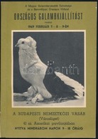 1969 Országos Galambkiállítás. Budapest, 1969. Február 7-9. Rendezi: Magyar Galambtenyésztők Szövetsége. Bp., Fővárosi N - Unclassified