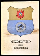 Mezőkövesd Város Monográfiája. Szerk.:  Dr. Sárközi Zoltán, Dr. Sándor István. Bp., 1973, Borsod M. Nyomdaipari Vállalat - Non Classés