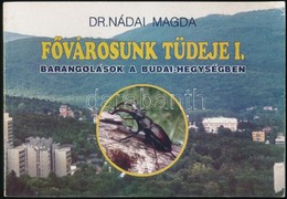 Dr. Nádai Magda: Fővárosunk Tüdeje I. Kötet: Barangolások A Budai-hegységben. Bp., 1993, Szivárvány Gyermekház. Kiadói P - Non Classés