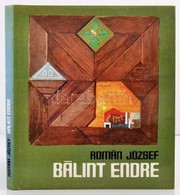 Román József: Bálint Endre. Bp., 1980, Képzőművészeti Alap Kiadóvállalata. Vászonkötésben, Papír Védőborítóval, Jó állap - Unclassified