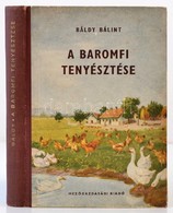 Báldy Bálint: A Baromfi Tenyésztése. Bp., 1954, Mezőgazdasági Kiadó. Kiadói Félvászon-kötés, Kissé Kopottas Borítóval. - Unclassified