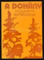 A Dohány Nagyüzemi Termesztése. Szerk.: Dr. Borsos János. Bp.,1976, Mezőgazdasági Kiadó. Kiadói Papírkötés. - Non Classés