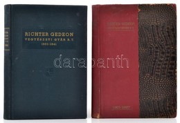 A Richter Gedeon 2 Db évkönyve: Richter Gedeon Vegyészeti Gyár Rt. 1901-1927 + Richter Gedeon Vegyészeti Gyár Rt. 1901-1 - Non Classés