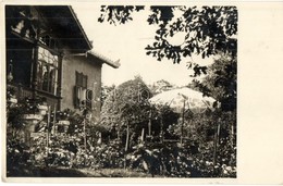 T2 1932 Budapest XII. Svábhegyi Villa Kertje. Photo - Unclassified