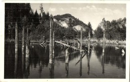 * T2/T3 Gyilkos-tó, Lacul Rosu; Csíki-Bükk / Forest - Unclassified