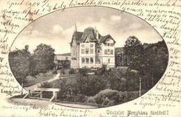 * T3 Menyháza, Moneasa; Arad-csanádi Vasút Villája / Villa (Rb) - Unclassified