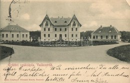 T3 Temesvár, Timisoara; Vadászerdő, Erdőőri Szakiskola / Forest Guard School (hiányzó Sarok Rész / Missing Corner Piece) - Unclassified