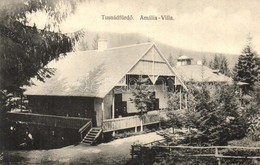 T2 Tusnádfürdő, Baile Tusnad; Amália Villa. Adler Fényirda / Villa - Unclassified