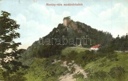 T3 Murány, Murányalja, Muránsky Hrad; Vár / Castle (EB) - Non Classés