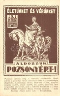 ** T2/T3 Pozsony, Bratislava; Életünket és Vérünket áldozzuk Pozsonyért! Irredenta Képeslap A Lerombolt Mária Terézia Sz - Non Classés