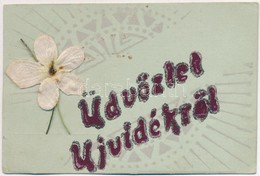 T2 Újvidék, Nodi Sad; Üdvözlőlap Textilvirággal / Decorated Greeting Card With Textile Flower - Unclassified