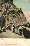 ** T2/T3 Capri, Salita Di Anacapri / Peasants Going To The Market. Edit. E. Ragozino (EK) - Unclassified