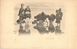 ** T2 Kínai Kagylógyűjtők. Teichner Gyula Kiadása / Shell Picking, Chinese Folklore - Unclassified