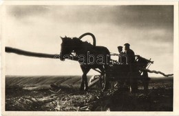 T2/T3 1943 Haditudósító Kiállítás Budapesten. Konok őrnagy Haditudósító Felvétele / WWII Hungarian Military Field Photo  - Non Classés