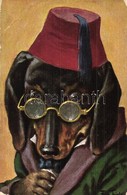 ** T3 Dog With Glasses. T.S.N. Serie 806. S: Arthur Thiele (EB) - Non Classés