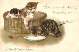 T2/T3 Cats. Theo. Stroefer's Kunstverlag Aquarell-Postkarte Serie V. No. 5250. Litho  (EK) - Non Classés