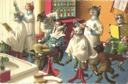 T2/T3 Cat Hairdresser And Barber Shop. Alfred Mainzer - Modern Postcard (EK) - Unclassified