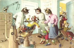 * T2/T3 Cat Dentistry. Alfred Mainzer No. 4872. - Modern Postcard (EK) - Non Classés