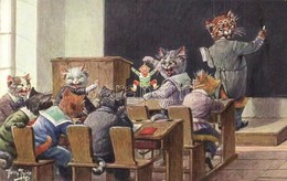 * T2 Cat School. T.S.N. Serie 1423. S: Arthur Thiele - Unclassified