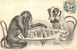 * T2 Monkey And Dog Playing Chess. TCV Card S: Anders - Non Classés