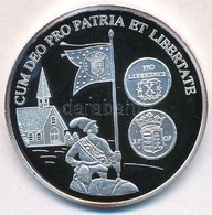 DN 'A Magyar Pénz Krónikája - Cum Deo Pro Patria Et Libertate' Ag Emlékérem (20g/0.999/38,61mm) T:PP - Unclassified