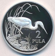 Botswana 1986. 2P Ag 'Zambézi Kócsag' T:PP
Botswana 1986. 2 Pula Ag 'Slaty Egret' C:PP
Krause KM#18 - Non Classés