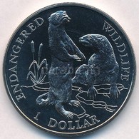 Cook-szigetek 1996. 1D Cu-Ni 'Európai Vidra' T:1
Cook Islands 1996. 1 Dollar Cu-Ni 'European Otters' C:UNC
Krause KM#342 - Non Classés