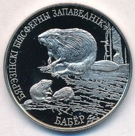 Fehéroroszország 2002. 1R Cu-Ni 'Európai Hód' T:PP 
Belarus 2002. 1 Ruble Cu-Ni 'European Beaver' C:PP 
Krause KM#44 - Non Classés