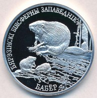 Fehéroroszország 2002. 20R Ag 'Európai Hód' T:PP
Belarus 2002. 20 Rubles Ag 'European Beaver' C:PP
Krause KM#45 - Non Classés