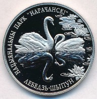 Fehéroroszország 2003. 20R Ag 'Bütykös Hattyúk' T:PP Fo.
Belarus 2003. 20 Rubles Ag 'Mute Swans' C:PP Spotted 
Krause KM - Non Classés