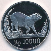 Indonézia 1987. 10.000R Ag 'Babirussza' T:PP
Indonesia 1987. 10.000 Rupiah Ag 'Babirusa' C:PP
Krause KM#45 - Non Classés