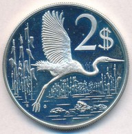 Kajmán-szigetek 1974. 2$ Ag 'Királygém' T:2(PP)
Cayman Islands 1974. 2 Dollars Ag 'Great Blue Heron' C:XF(PP)
Krause KM# - Non Classés