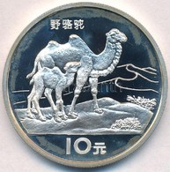 Kína 1994. 10Y Ag 'Teve' T:PP Fo.
China 1994. 10 Yuan Ag 'Camel' C:PP Spots - Non Classés