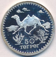 Mongólia 1976. 50T Ag 'Teve' T:PP
Mongolia 1976. 50 Tugrik Ag 'Camel' C:PP
Krause KM#37 - Non Classés