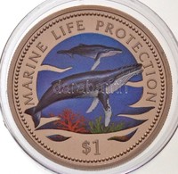 Namíbia 1998. 1$ Cu-Ni 'Terngeri élet Védelme' Multicolor T:PP
Namibia 1998. 1 Dollar Cu-Ni 'Marine Life Protection' Mul - Non Classés