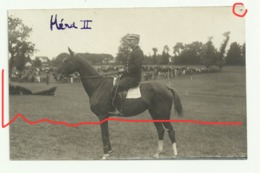 LA TRIMOUILLE Carte Photo HIPPODROME COURSES DE LA TRIMOUILLE 24 SEPTEMBRE 1911 - La Trimouille