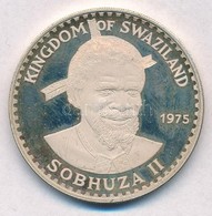 Szváziföld 1975. 10E Ag 'II. Sobhuza / Gém' T:1(PP)
Swaziland 1975. 10 Emalangeni Ag 'Sobhuza II / Heron' C:UNC(PP)
Krau - Non Classés