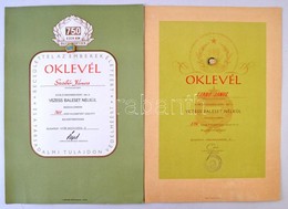 1974. 'Vezess Baleset Nélkül Mozgalom' Névre Szóló Oklevele 516 Ezer Km Után, Zománcozott, Aranyozott Jelvénnyel (15mm)  - Non Classés