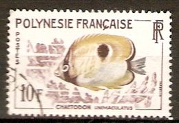POLYNESIE  Française    -  1962 .    Y&T N° 19 Oblitéré.   Poisson  /  Chaetodon - Gebraucht